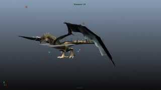 Wing Membrane Testing