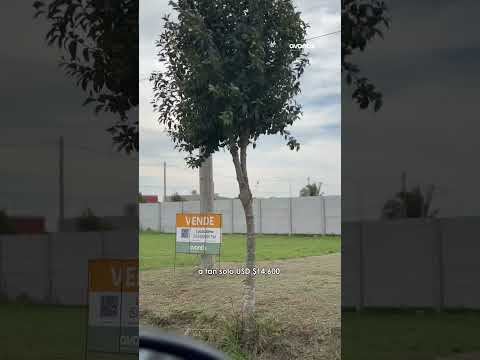Terreno en Lehmann · foto 5