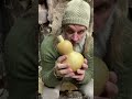 Gourd Water Bottle