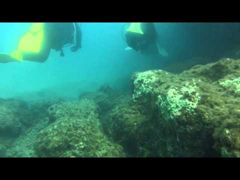 Golden Rock / Golden Reef