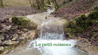 LE PETIT RUISSEAU