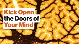 Brain Bias: Why You Shouldn't Emulate Geniuses and Their Rigid Thinking Processes | Barbara Oakley