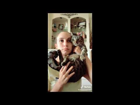 TikTok compilation best The Queen is coming