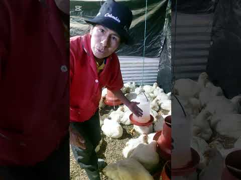 apoyen ai madre desde oicata boyaca con su emprendimiento. nunca se rinde