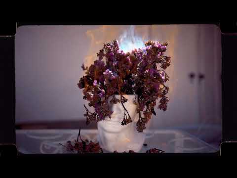 AMARO - MOTIVO (Visual)