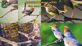Download lagu MASTERAN BURUNG KICAU | KOMPILASI SUARA CIBLEK PRENJAK FULL IRAMA TEMBAKAN | DIJAMIN MEWAH !!! mp3 Download lagu MASTERAN BURUNG KICAU | KOMPILASI SUARA CIBLEK PRENJAK FULL IRAMA TEMBAKAN | DIJAMIN MEWAH !!! mp3