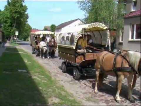 Pferdeparadies in der Uckermark - Angermünde, Criewen, Schwedt und mehr