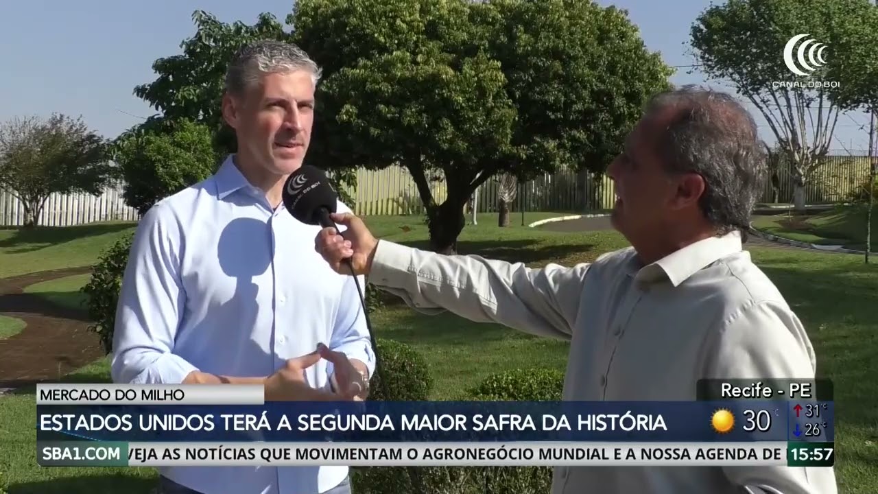 Safra da Argentina e dos EUA pressionam cotações do milho no Brasil