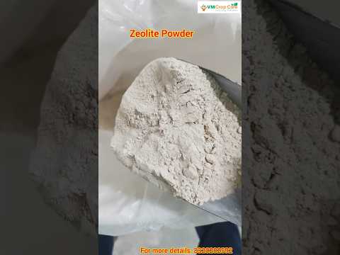 Natural Zeolite Powder