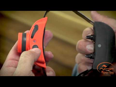 Compatibility of Your SD-1875 with Other SportDOG E-Collar Systems