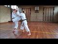 Nijushiho Bunkai