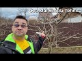 Taieri La Prun Pentru începători