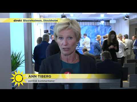 Anna Kinberg Batra avgår - detta kommer att hända nu - Nyhetsmorgon (TV4)