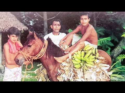Wallis et Futuna : Celui qui a la nostalgie des chevaux - Vos photos notre histoire
