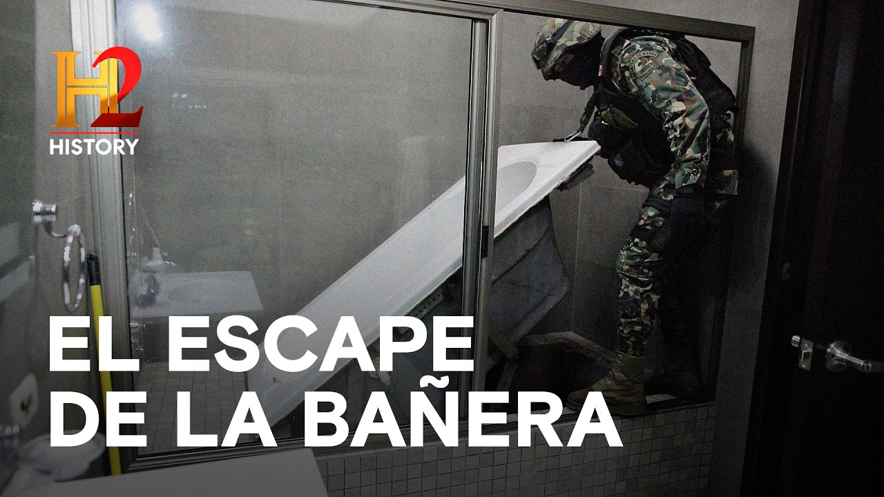 Peor que Al Capone: El imperio de El Chapo en Chicago 🏢🇺🇸 - LA CAIDA DE EL CHAPO