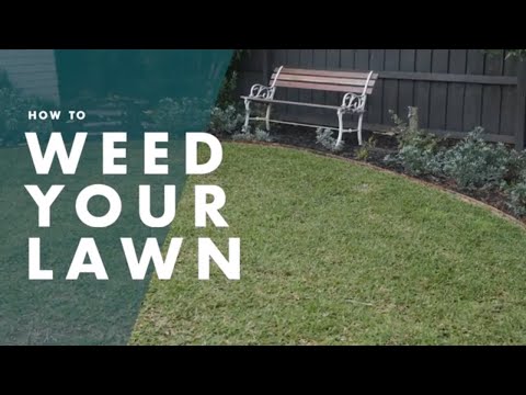How To Weed Your Lawn | Bunnings Warehouse [How-to guide]