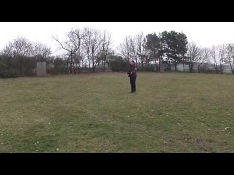 Training Begleithundprüfung - knapp daneben ist auch vorbei :)