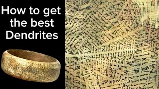 Cooling Rate Effects on Dendritic Brass