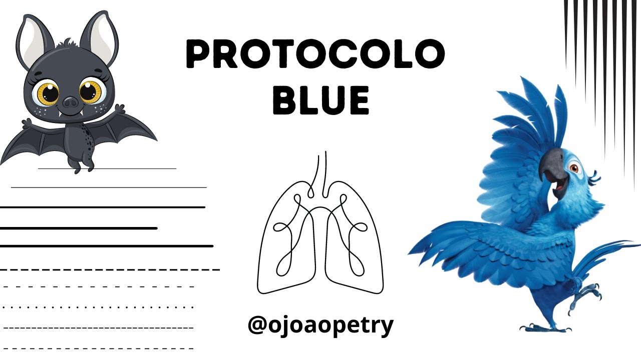 Protocolo Blue - Ultrassom Pulmonar