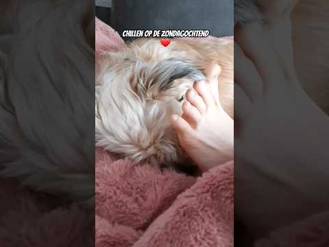 Onze Zondagochtenden❤ #424 #love #knuffelen #chillen