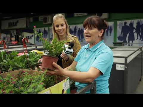 Ceger ep.50 - Pijaca Blok 44 - 18.10.2019.