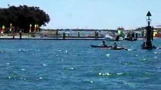 preview picture of video 'Dolphins in Mandurah'