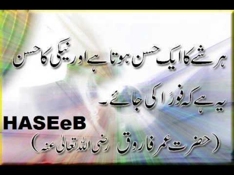 haseeb prince  i me aur main latest song nwl