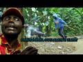 OMUSAMBWA OMULALU VJ EMMY FULL MOVIE