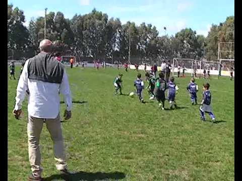 MARIANO DALLA LIBERA EN TORNQUIST (nota 1)