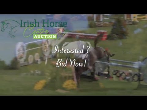 No 61 KINGS CORNET X TRY-TIME