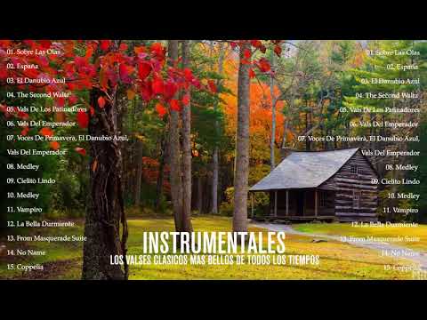 LOS VALSES CLASICOS MAS BELLOS DE TODOS LOS TIEMPOS - BELLISIMAS MELODIAS INMORTALES A GRAN ORQUESTA