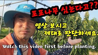 또 허송세월 농사를 짓겠습니까? 나무는 심기 전에  고민 하세요!!! Watch this video firs…