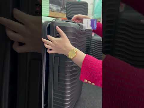 Миниатюра изображения товара Чемодан на колесах EUROBAGS PP-N21 (L, черный)