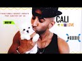 Fouseytube S Funniest Moments From Subathon Day 5 Los Angeles