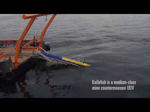 Knifefish Video 2369