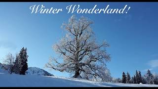 Weiss Christmas Music Countdown 2017 - Winter Wonderland