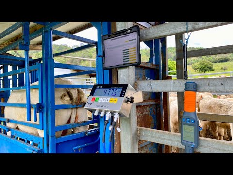 AgriEID Pro