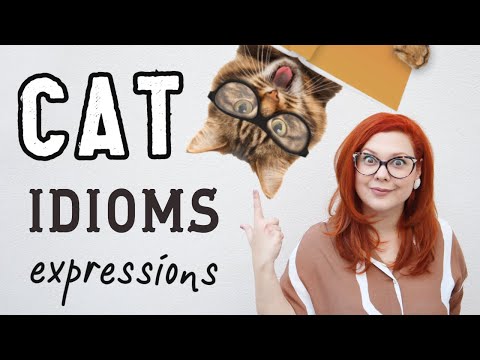 CAT IDIOMS AND EXPRESSIONS | Enjoy English With Mrs. A