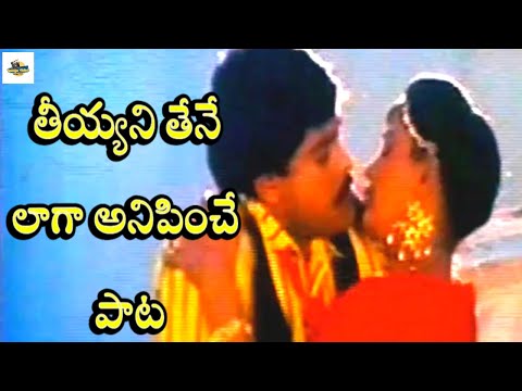 తీయ్యని తేనే లాగా అనిపించే పాట | Chiranjeevi And Radha Saregama Duet Song | Marana Mrudangam Movie