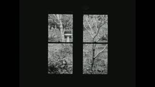 In and Out a Window / trailer / 25th Ji.hlava IDFF