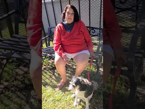 Video 1