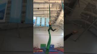 Advanced aerial silks drop - would you try it? #shorts #aerialsilks
