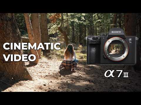 Sony A7III in 2024? | BEST CINEMATIC VIDEO SETTINGS