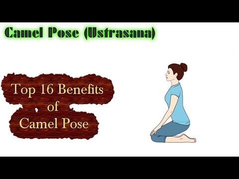 Camel Pose Yoga (Ustrasana) - Top 16 Benefits of This Pose
