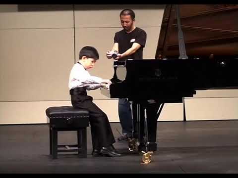 Aristo Sham plays Liszt-Paganini Etude No. 4 (2004)
