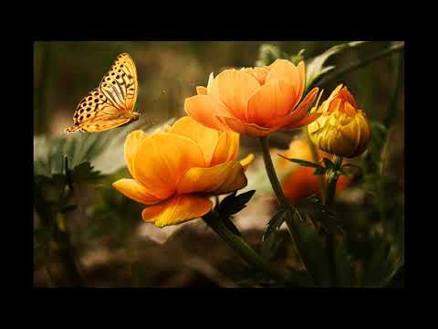 RELAX PIANO MUSIC for meditation, by Aleksandra Stakic