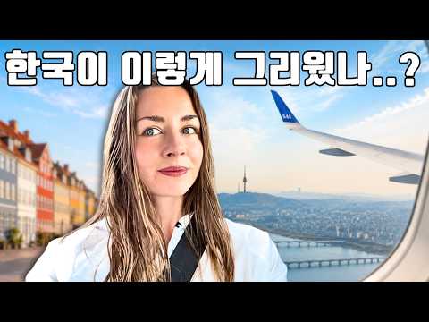 다시 한국으로 떠나는 하루