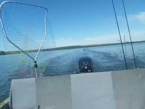 Лодка Крым  Меркури 15