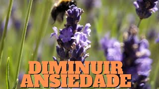 Msica para meditar e diminuir ansiedade