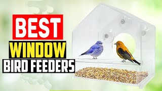 ✅Top 5 Best Window Bird Feeders in 2025